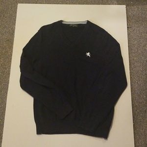Men's Express V-neck Sweater